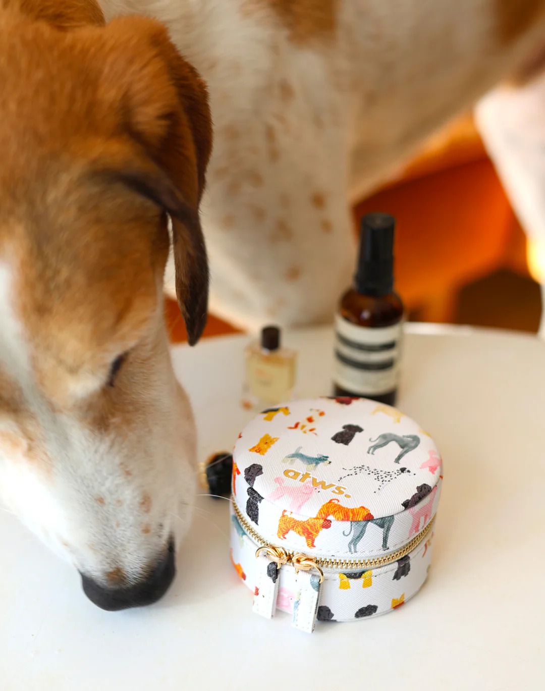 Dogs - Jewellery box - Image 5