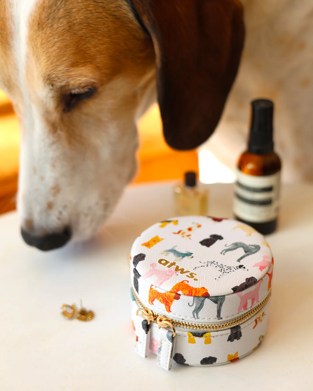 Dogs - Jewellery box - Image 6