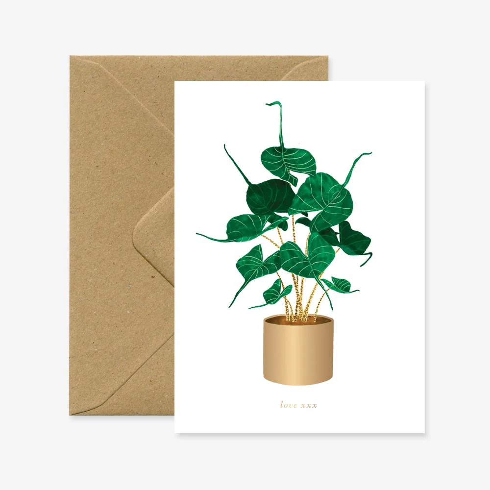 Alocasia Stingray - Love & friendship Greeting card