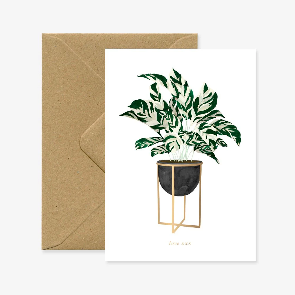 Calathea - Love & friendship Greeting card